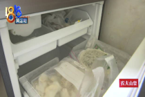 用户称东芝冰箱出保后发出拖拉机声 楼下邻居都能听到？