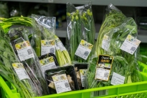 春鲜热销、食用花同比增长100%，药食同源、颜值经济成消费新风口