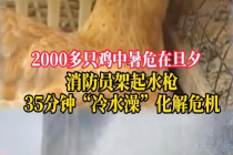 消防员用水枪给鸡洗了半小时冷水澡 清凉一夏