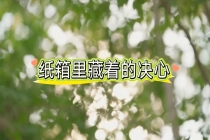 从一只纸箱看九号的绿色制造