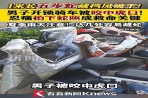 男子开锁骑车被五步蛇咬中 电动车下藏险情