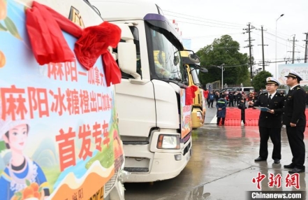 
                    麻阳冰糖橙国际专车发运 抢“鲜”出口香飘海外
               