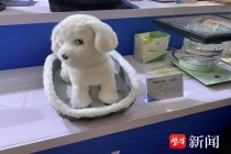 南极飞回来的无人机、苏超同款脑机接口……苏港澳青年荟科创展也太好玩了！