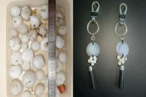 北大“冰雹换玛瑙”最新进展 研究成果登Nature封面