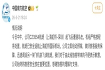 南航一客机起飞后遭鸟击返航 航班安全处置获理解