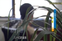 假富婆骗走夫妻4900万 奢华骗局背后的真相