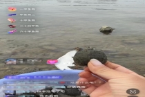 直播间打赏放生：“功德”被明码标价 善举还是生态隐患？