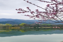 今天北京真好看 春色浓郁繁花似锦