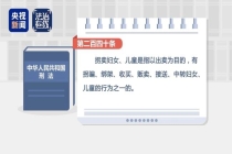 法律专家谈“梅姨”下场 或面临重刑判决