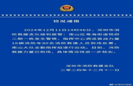 
                    深圳湾一住宅突发火灾 80名消防救援人员到场处置
               