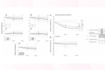 第五届岭南视觉健康与近视防控论坛学术报告纪要丨PBM光生物调节疗法在近视防控中的靶点研究进展与临床应用