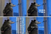 “背手负鼠”火了！什么来头 表情包背后的生存智慧