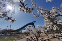 首钢园山桃盛开美景独特 工业遗存映衬春色