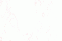 AI在一起 共赢未来 | 融信天下合作伙伴大会2026盛大召开