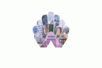 中燃协分布式能源委员会2026专家座谈会在京召开，维尔利集团副总裁周新安应邀出席并作主题演讲