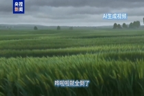 小麦也“撸上铁”了 田间控旺保丰收