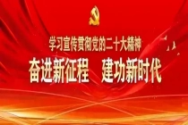 电建市政：新华网报道公司喀麦隆洛贡河灌溉项目