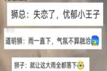 园方称忧郁淋雨狮子无异常 动物天性引热议