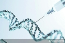 未来五年中国动物创新药将迎关键窗口期