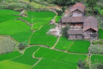 梅姨落网全过程揭秘 正义终到来