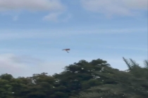 跳伞爱好者遇“死亡旋转”奇迹生还 湖面降落幸存