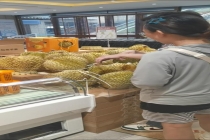 长沙榴莲进货量同比涨35% 价格亲民销量翻倍