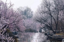 3月22日北京正式入春 春意盎然提早报到