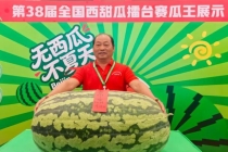 159.5斤 西瓜节诞生新一届“瓜王” 六连冠纪录延续