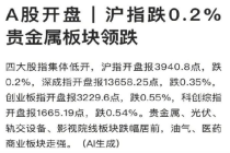 沪指跌0.2% 贵金属板块领跌