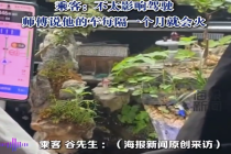男子打的网约车里有鱼有山有绿植 司机：每隔一个月就要火一次，不太影响驾驶