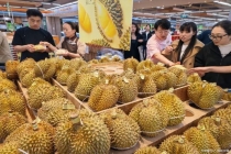 榴莲价格未来还会跌吗 三重推力揭秘真相