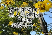 有人抄底老破小一买就是七八套 投资者的新宠