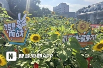 老师将花束分送祝学生“一举夺葵” 600余株向日葵盛放送祝福