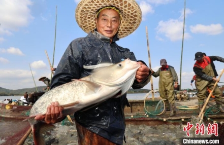 
                    鱼跃人欢庆丰收 浙江德清下渚湖千人共享鱼汤饭
               