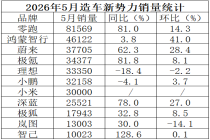 月销8万新王杀到，新势力谁最慌？