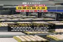 一天一个价 鸡蛋价格大涨 淡季不淡创新高