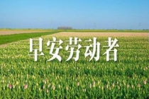 帮助梅姨案家属的记者去世 调查报道先锋离世