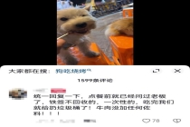在海底捞携宠就餐争议视频仍未删除 多地禁止携宠进店用餐