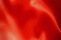 陈锡明赴南京航空航天大学参加“科技创新与产业创新深度融合”对接交流会