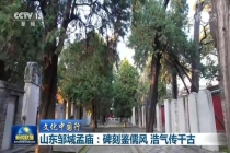 山东邹城孟庙：碑刻鉴儒风，千年儒风文脉传承