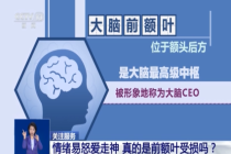 易怒爱走神是前额叶受损吗？专家解读来了
