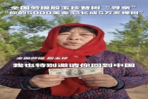 劳模大妈替树“寻亲”后续 5000美元长成森林