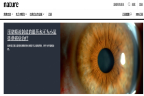 猪精液制成的眼药水可治疗眼肿瘤 创新疗法引发关注