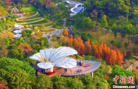 
                    探访广州云萝植物园：保育乡土和珍稀植物1500余种
               