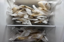 鹅腿阿姨老粉称愿意提供没吃的产品检测 顾客考虑维权起诉