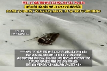 男子带小虫8次敲诈餐厅被拘 惯犯终落法网