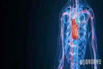 特朗普最新体检出炉：低密度脂蛋白低至1.37 揭秘其健康管理方法论