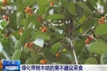 绿化带树木结的果实能吃吗 不宜食用注意健康