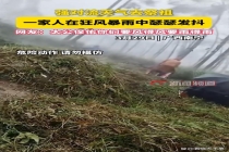 一家人在狂风暴雨中瑟瑟发抖祭祖 网友：要风得风要雨得雨