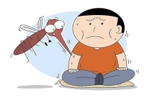 专家：南京暂未监测到“花蚊子” 气温升高蚊虫活跃